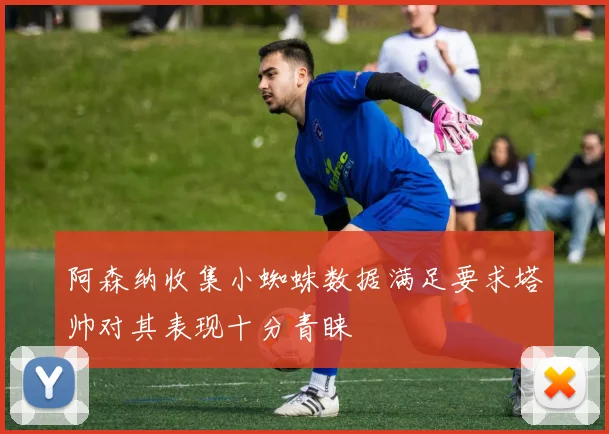 阿森纳收集小蜘蛛数据满足要求塔帅对其表现十分青睐